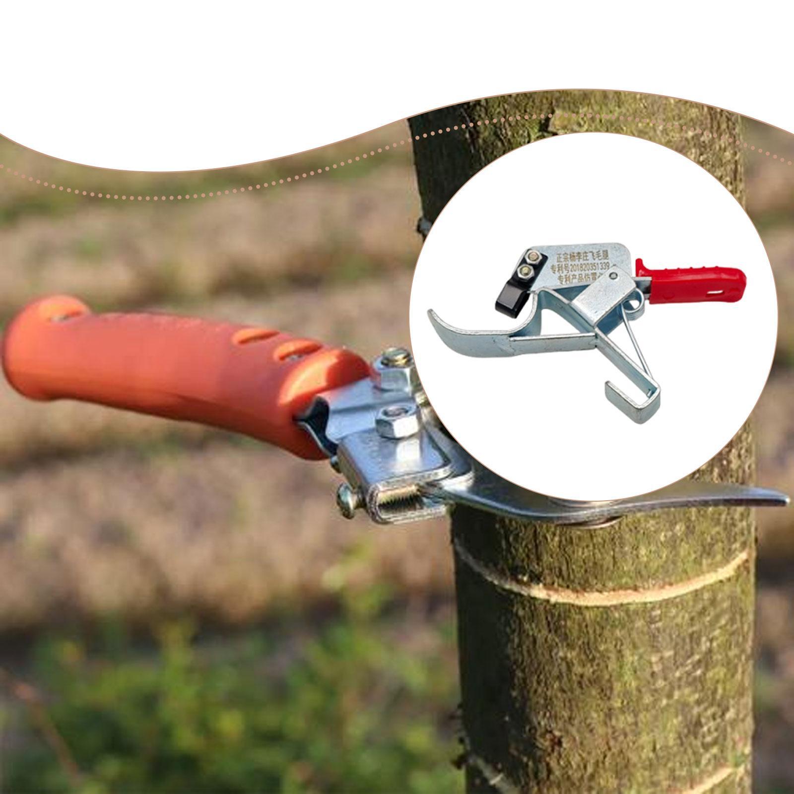 Gardening Tools Essential - Outil de cerclage pour arbres fruitiers,