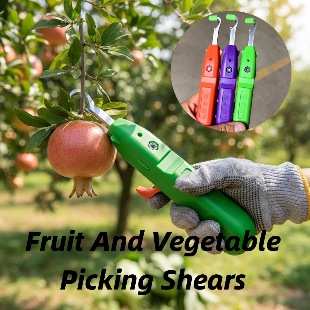 Gardening Tools Vegetables - Ciseaux de cueillette de fruits et