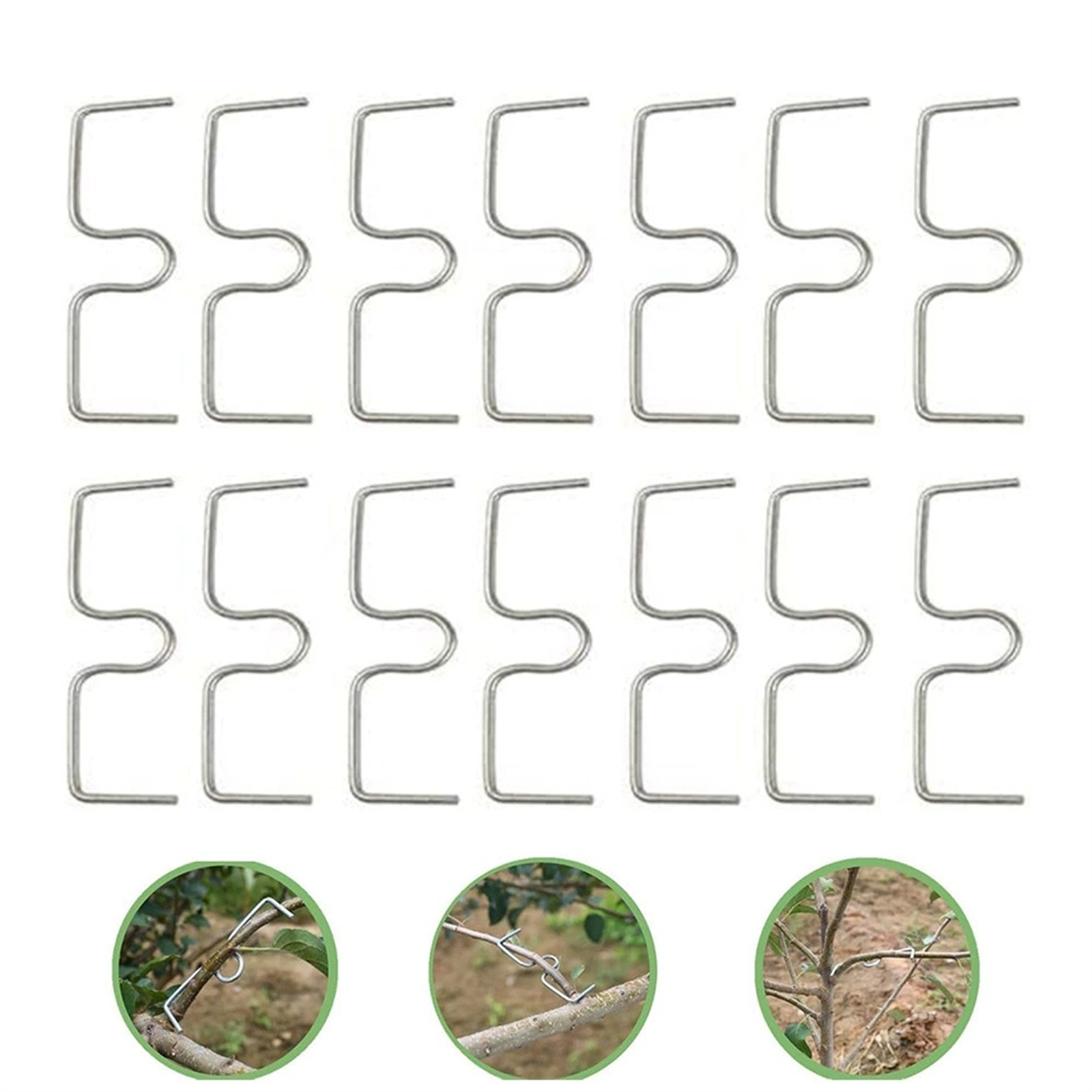 Gardening Tools Must Haves - Pince à Branches d'Arbres Fruitiers en