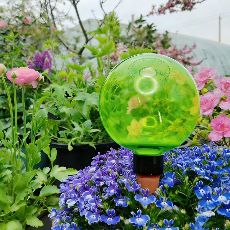 Self-Watering Planter - 3 globes d'arrosage automatique pour grandes