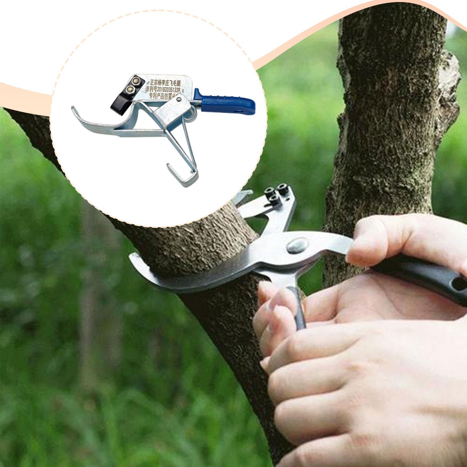 Outil de cerclage pour arbres  - Gardening Tools Essential avis et prix