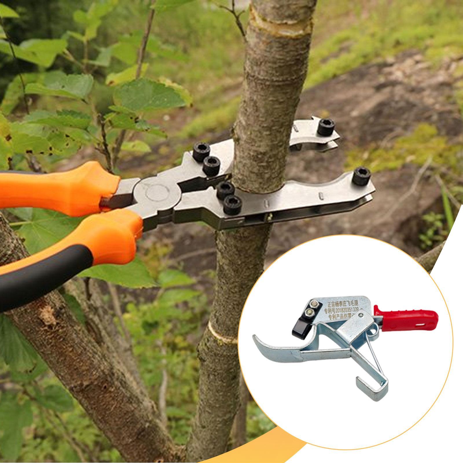 Outil de cerclage pour arbres  - Gardening Tools Essential avis et prix