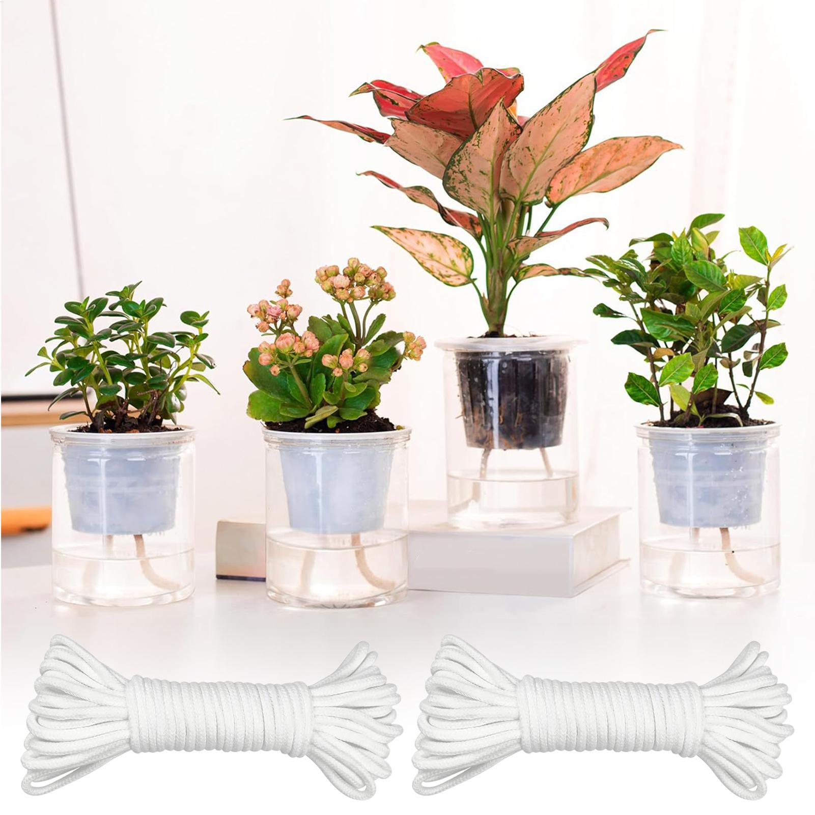 Mèches d'arrosage automatique  - Automatic Plant Waterer avis et prix