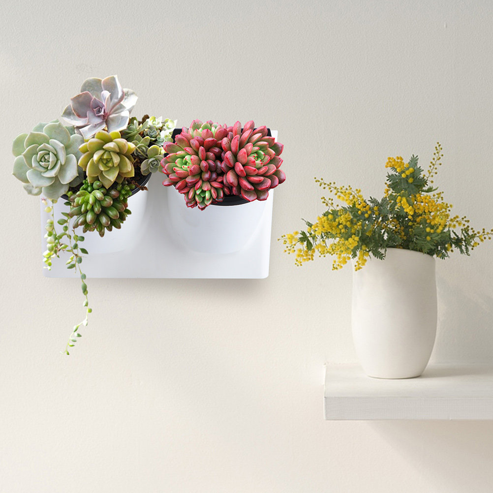 Pot de fleurs auto-arrosant en - Self-Watering Planter avis et prix