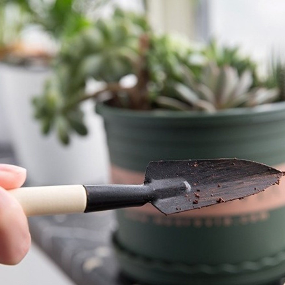 Ensemble d'outils de jardinage - Spade Digging Fork avis et prix