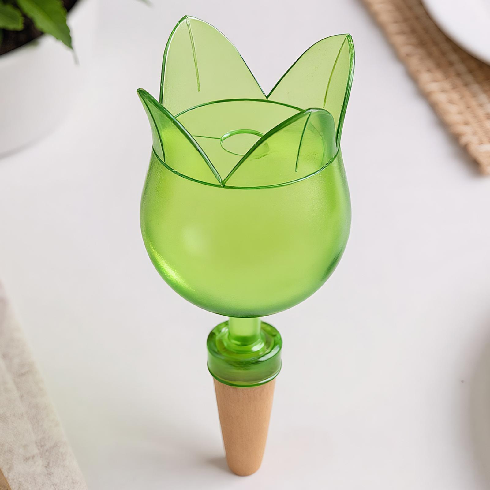 Dispositifs d'arrosage automat - Self-Watering Planter avis et prix