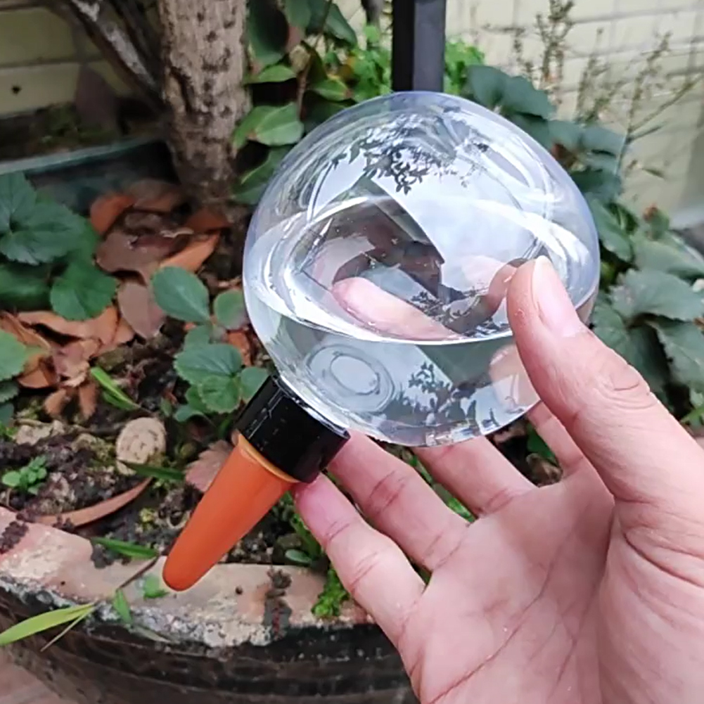 Globes d'arrosage automatiques - Automatic Plant Waterer avis et prix