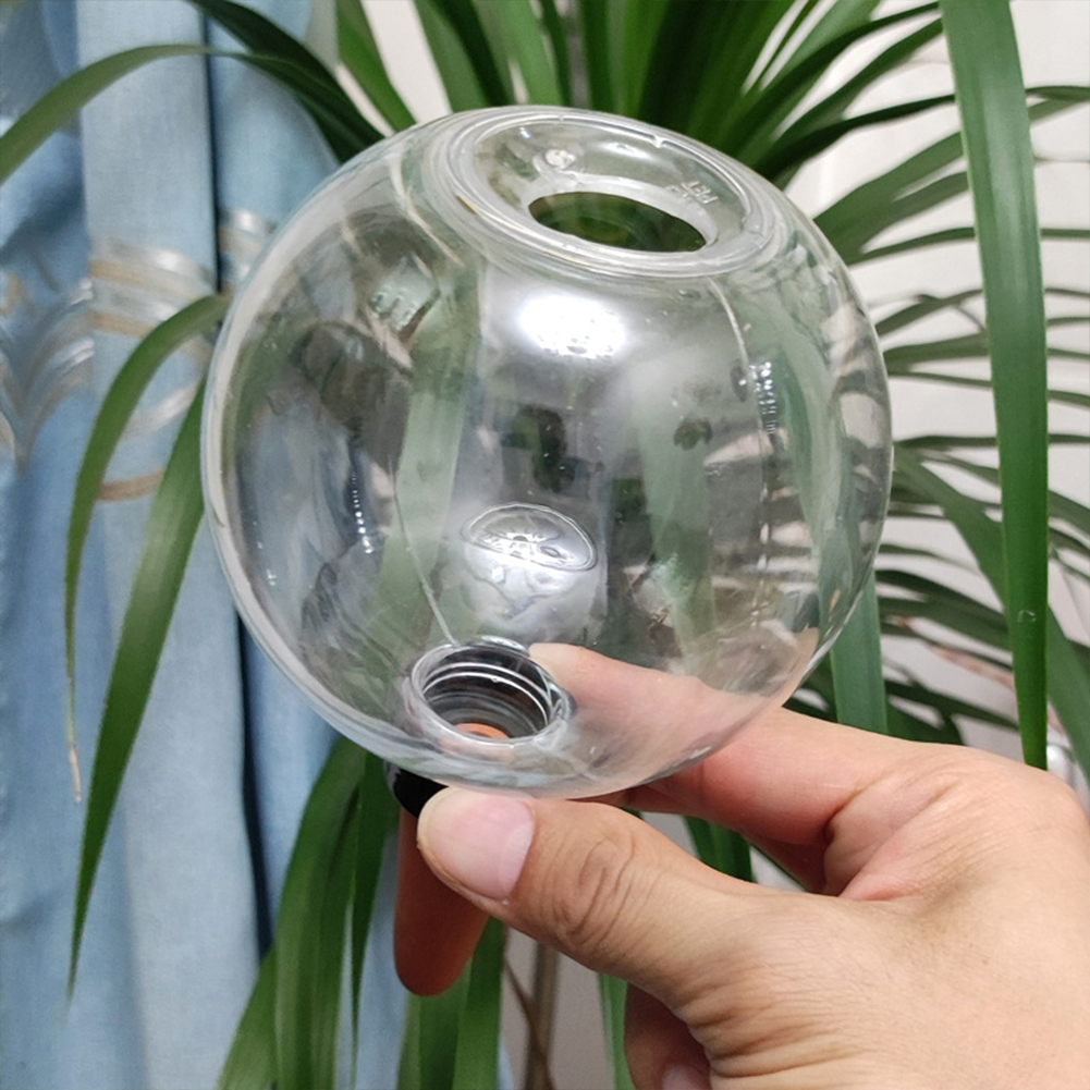 Globes d'arrosage automatiques - Automatic Plant Waterer avis et prix