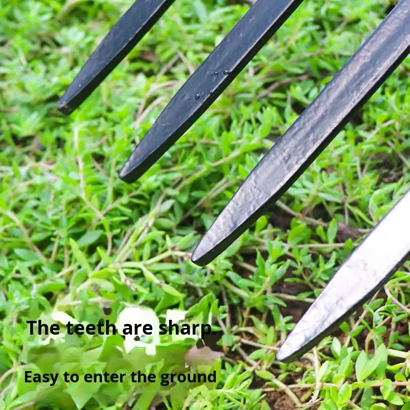 Fourche à quatre dents en acie - Spade Digging Fork avis et prix