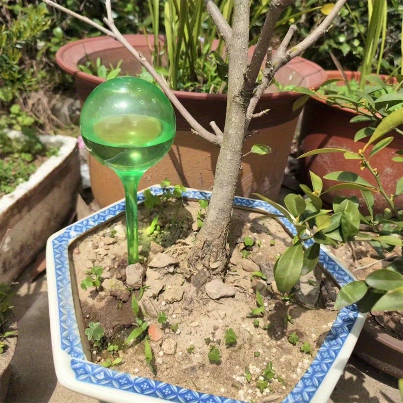 6 boules d'arrosage automatiqu - Automatic Plant Waterer avis et prix