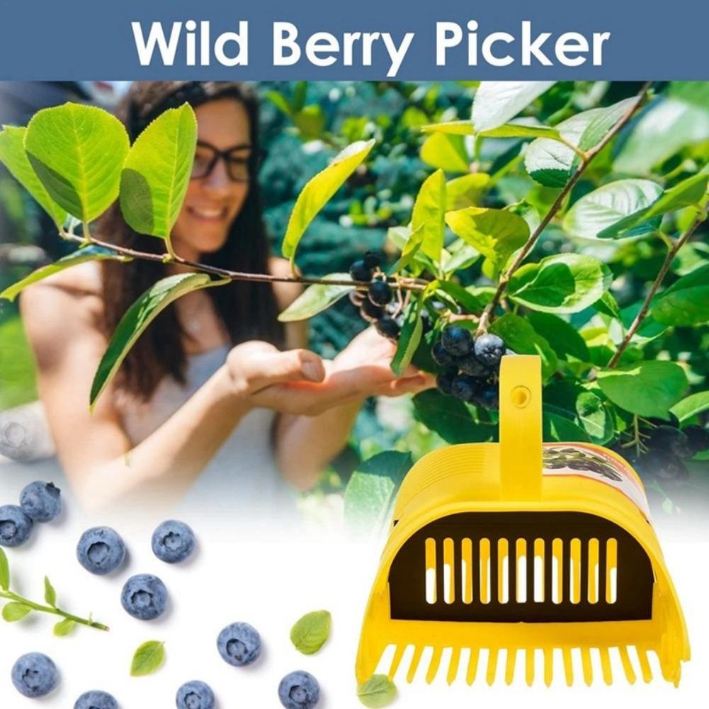 Outil de cueillette de myrtill - Gardening Tools Must Haves avis et prix