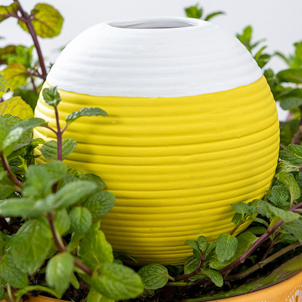 Outil d'arrosage automatique e - Gardening Tools Must Haves avis et prix