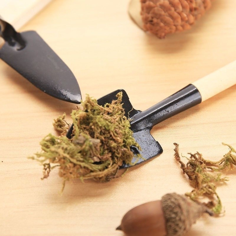 Ensemble d'outils de jardinage - Spade Digging Fork avis et prix