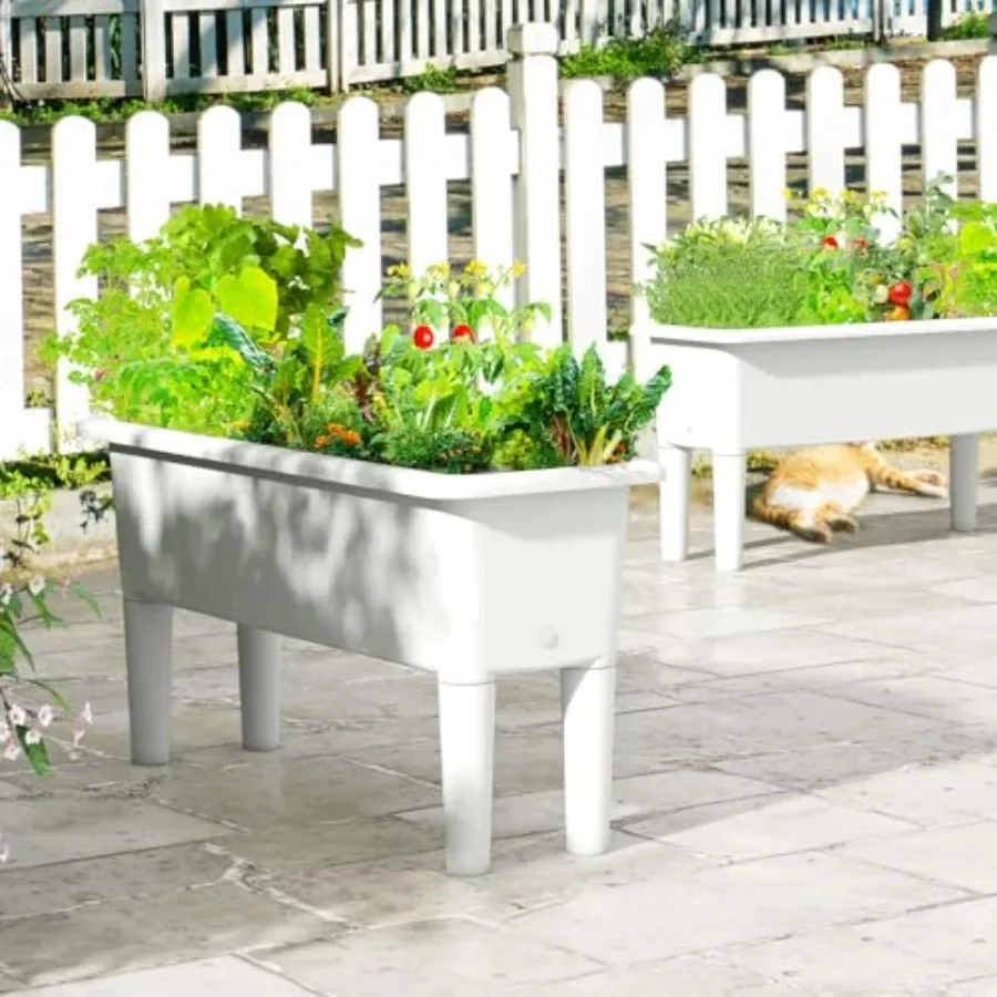 Ensemble de 2 jardinières suré - Self-Watering Planter avis et prix