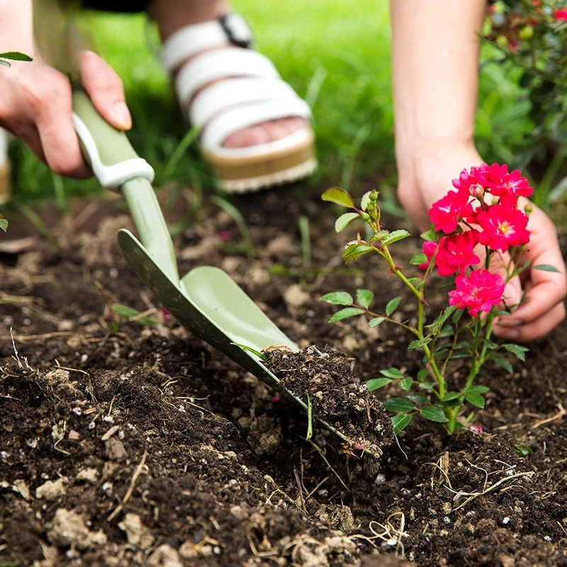 Ensemble d'outils de jardinage - Spade Digging Fork avis et prix