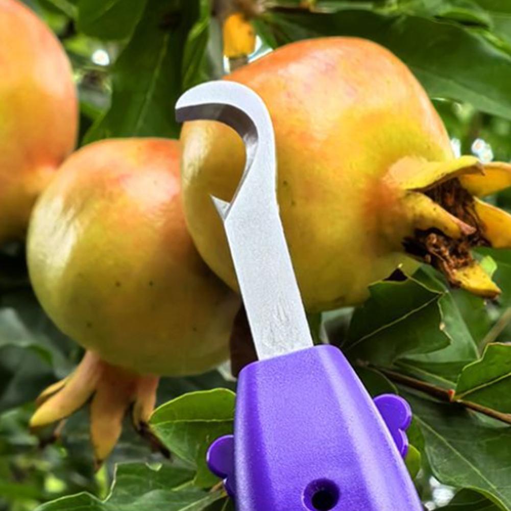 Outil de jardinage multifoncti - Gardening Tools Vegetables avis et prix
