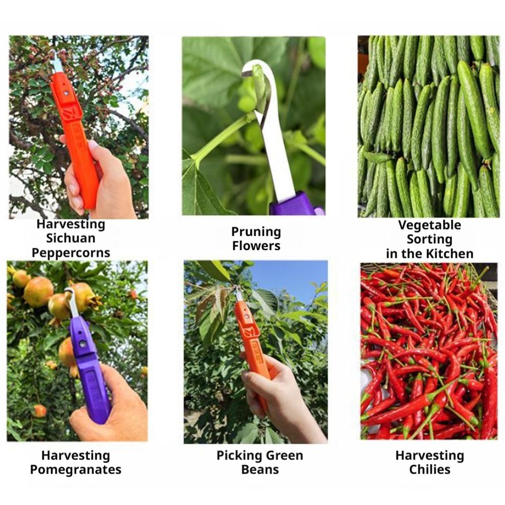 Outil de jardinage multifoncti - Gardening Tools Vegetables avis et prix