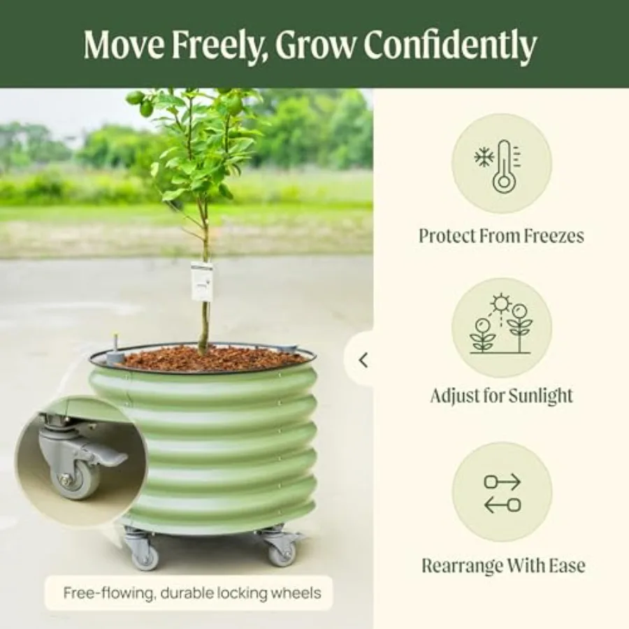 Pot à plantes roulant pour agr - Self-Watering Planter avis et prix