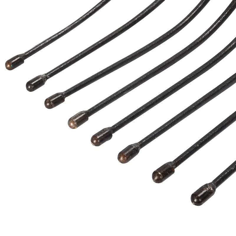 Tête de fourche à pommes de te - Spade Digging Fork avis et prix