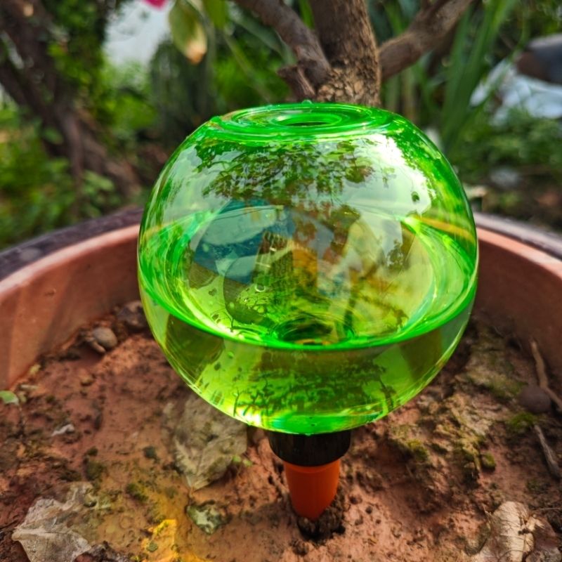 3 globes d'arrosage automatiqu - Self-Watering Planter avis et prix