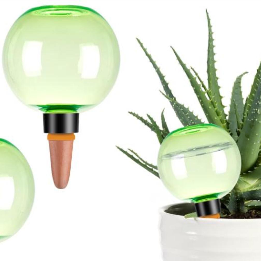 3 globes d'arrosage automatiqu - Self-Watering Planter avis et prix