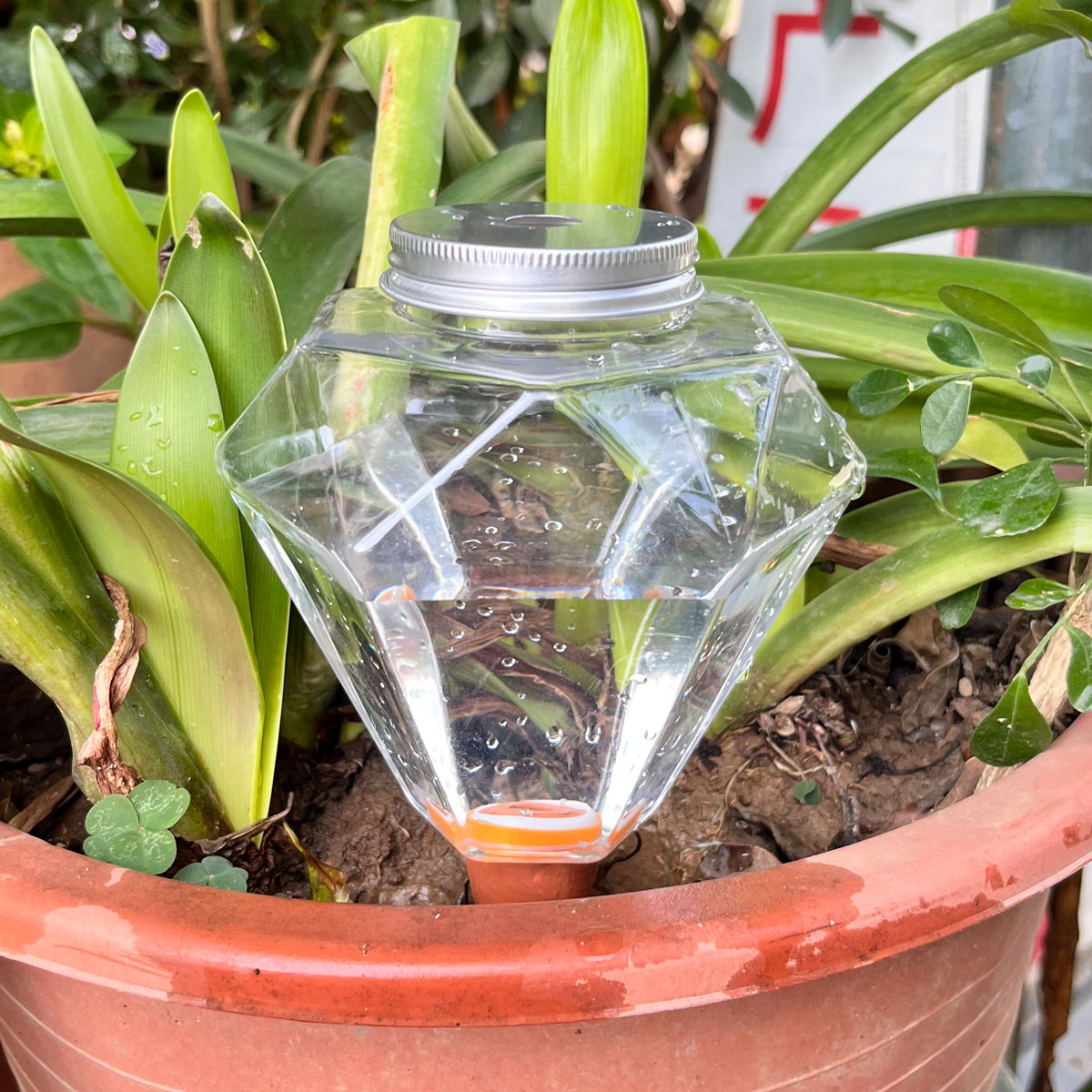 1 pièce Arroseur automatique e - Automatic Plant Waterer avis et prix