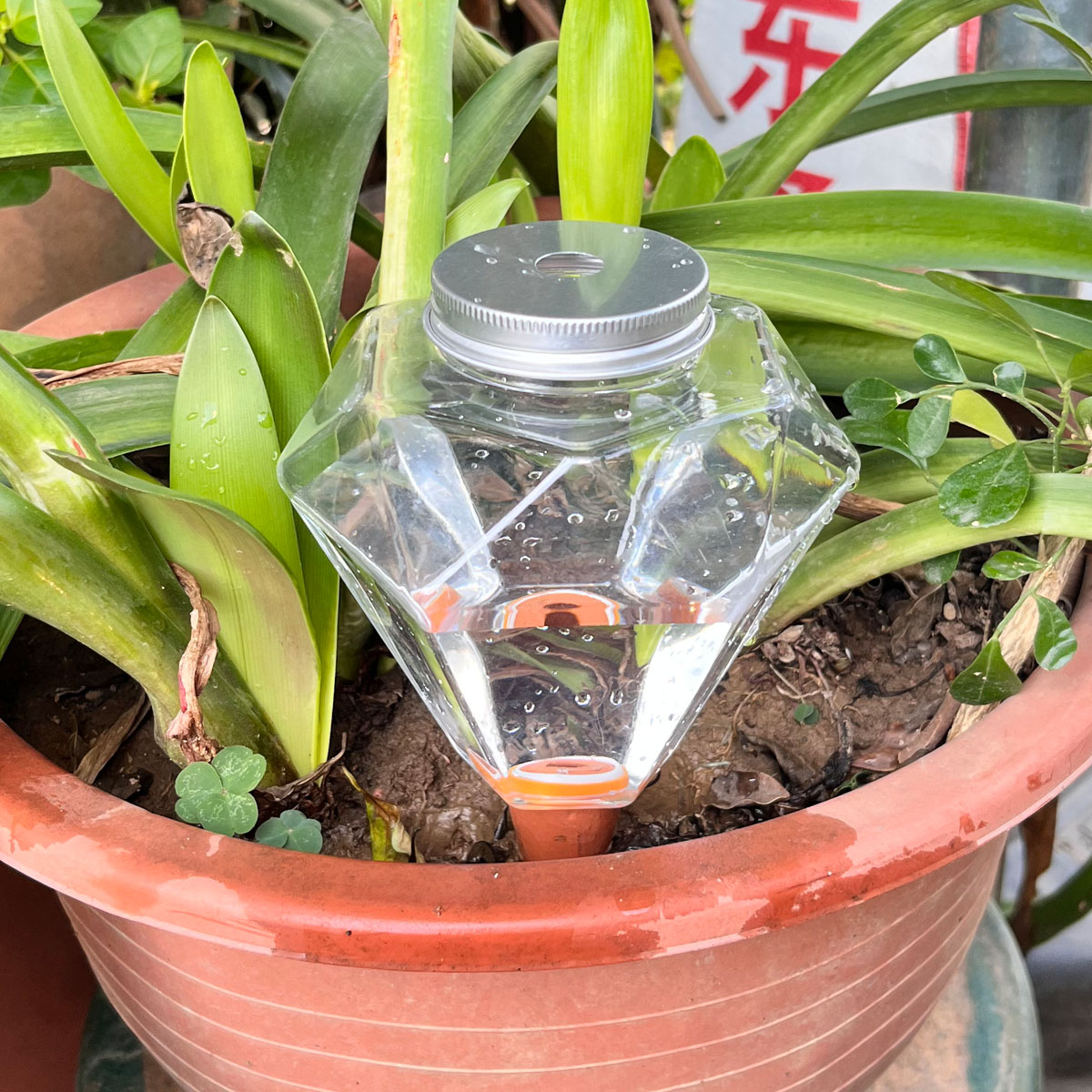 1 pièce Arroseur automatique e - Automatic Plant Waterer avis et prix