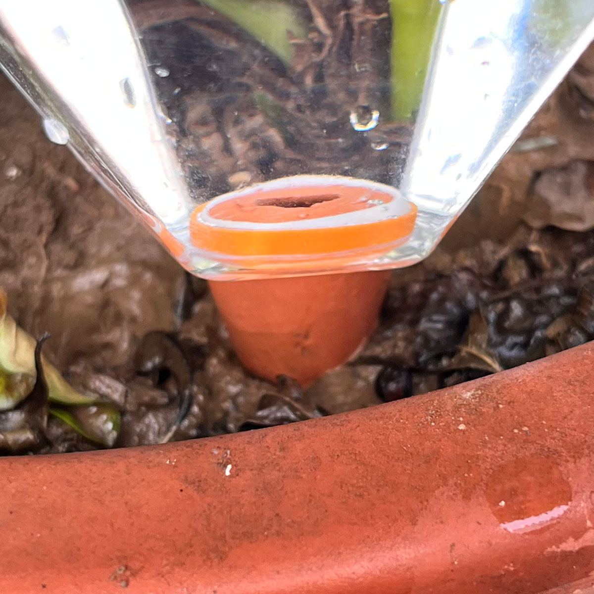 1 pièce Arroseur automatique e - Automatic Plant Waterer avis et prix