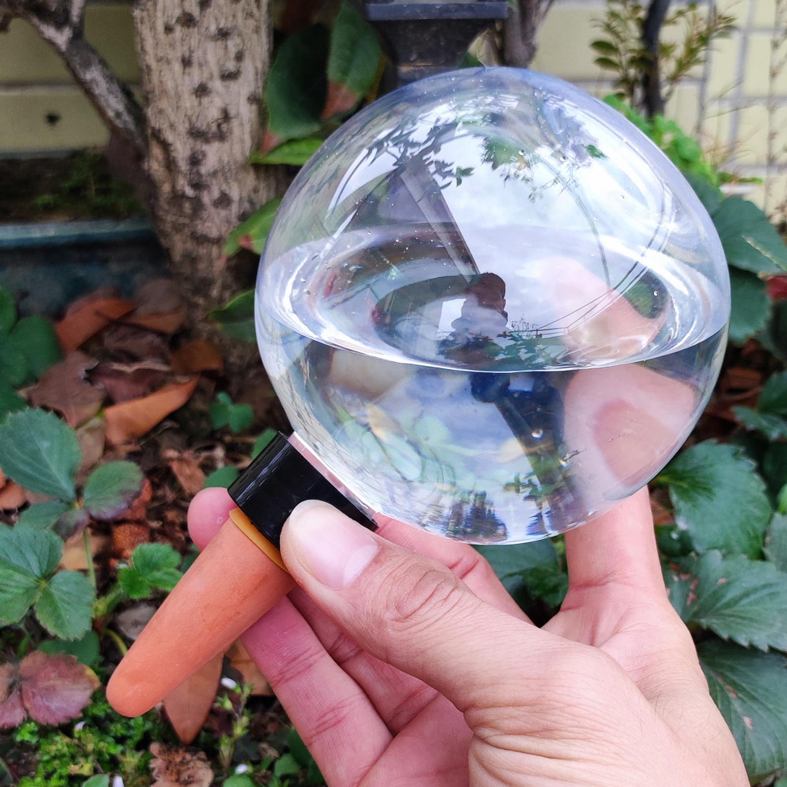 Ampoules d'arrosage automatiqu - Self-Watering Planter avis et prix