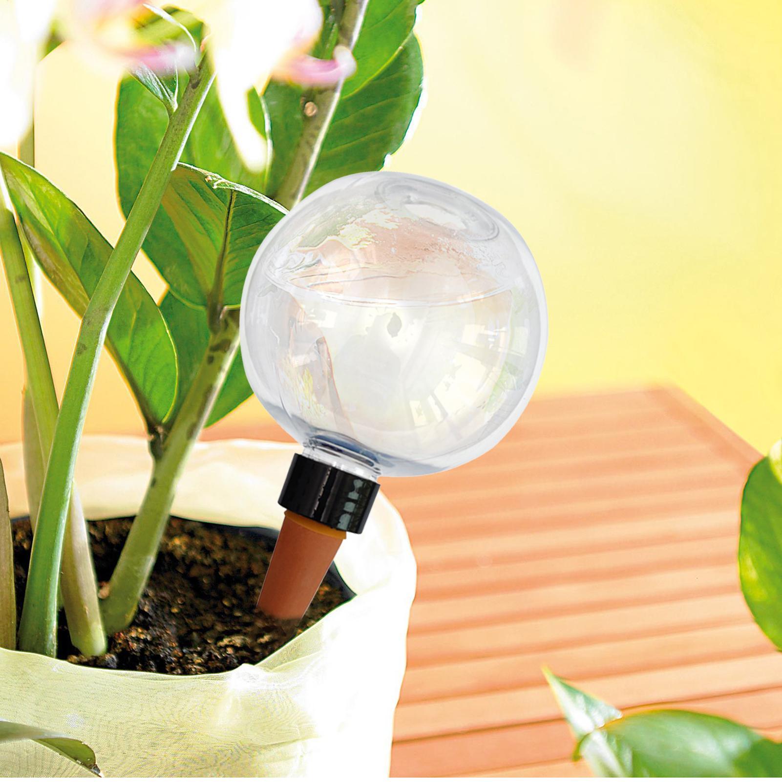 Ampoules d'arrosage automatiqu - Self-Watering Planter avis et prix