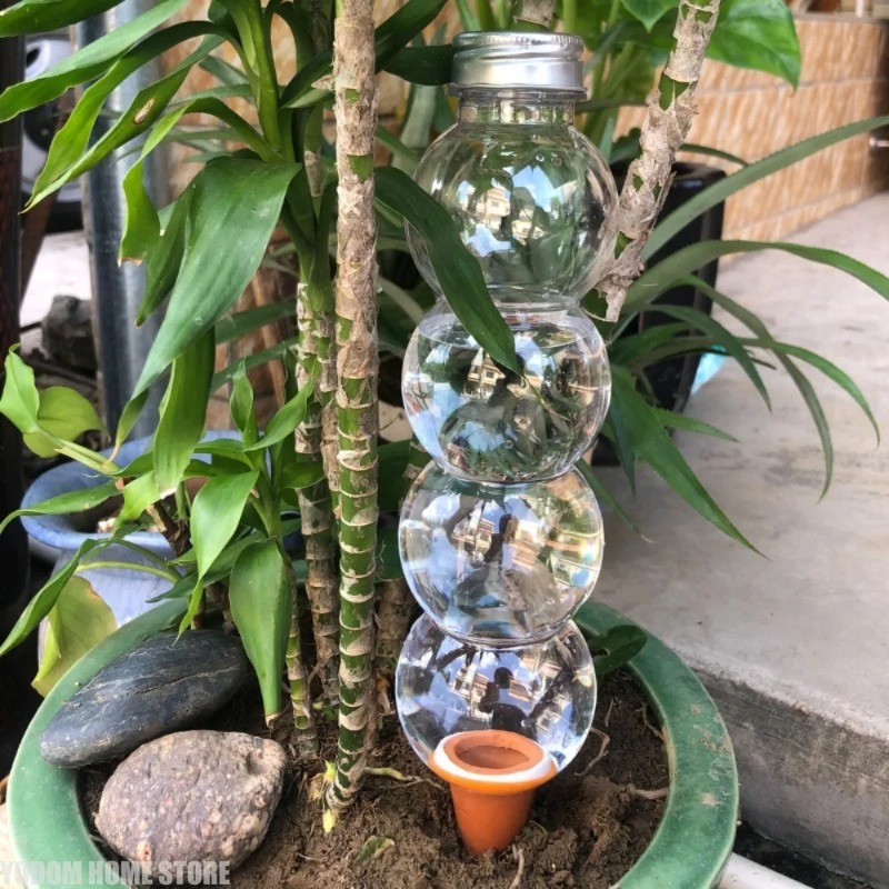 1 pièce Arroseur automatique c - Automatic Plant Waterer avis et prix