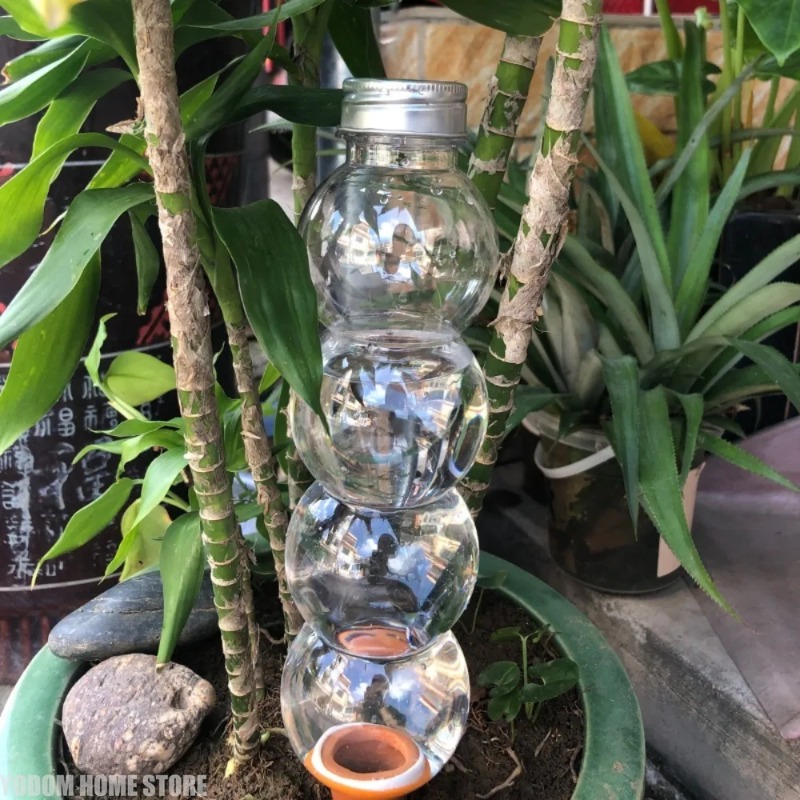 1 pièce Arroseur automatique c - Automatic Plant Waterer avis et prix