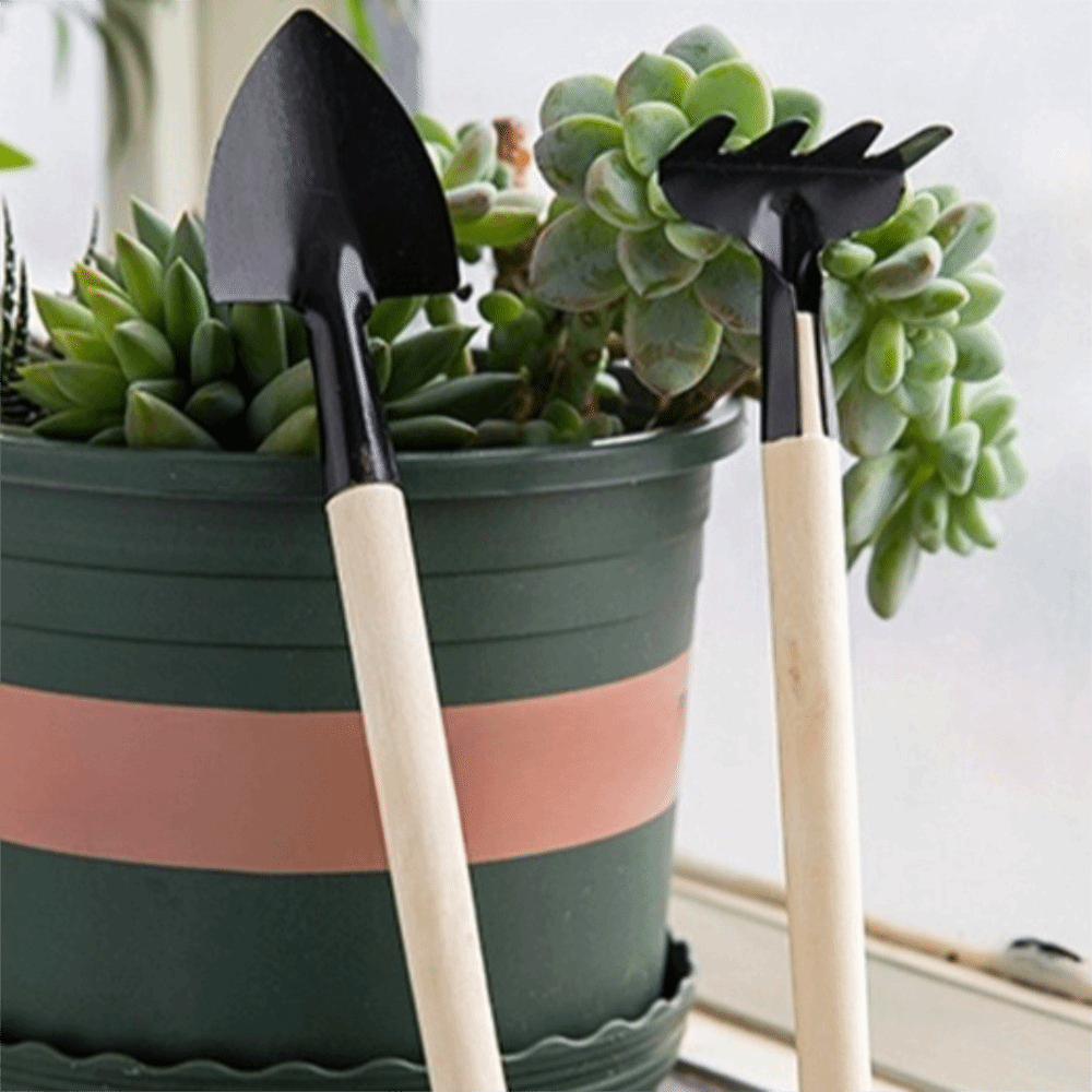 Ensemble d'outils de jardinage - Spade Digging Fork avis et prix
