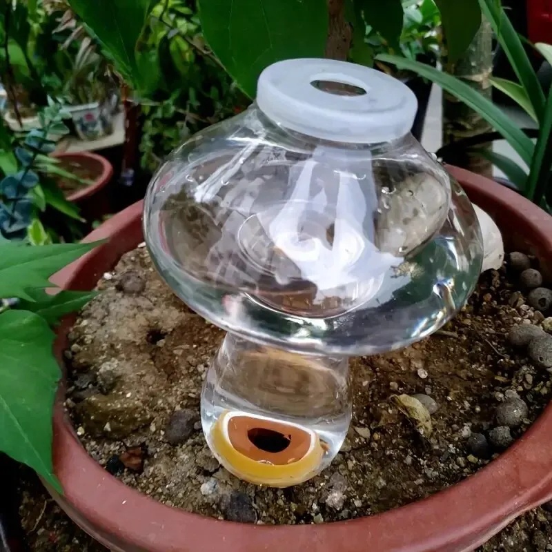Arroseur automatique pour plan - Automatic Plant Waterer avis et prix
