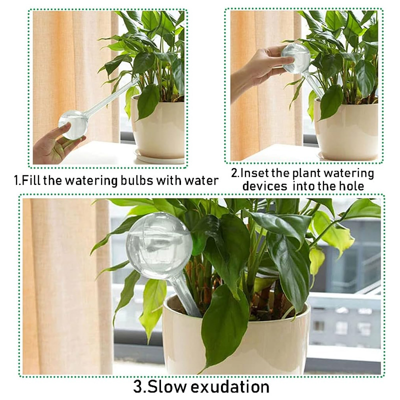 Ampoules d'arrosage automatiqu - Automatic Plant Waterer avis et prix