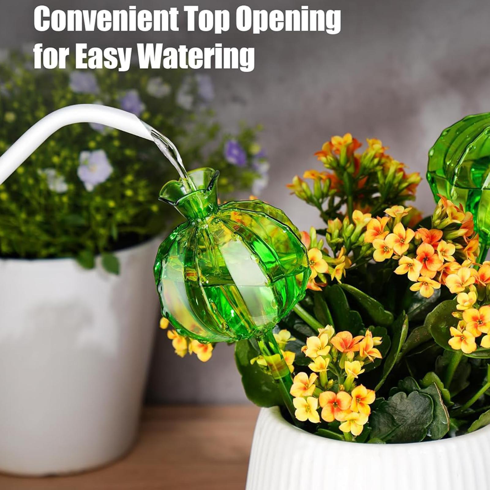 Globes d'arrosage pour plantes - Automatic Plant Waterer avis et prix